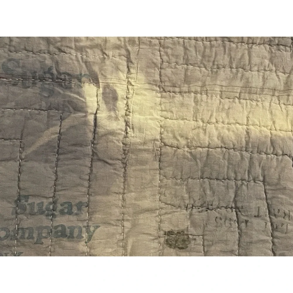 Vtg 1930s Dresden Plate Quilt NRA Blue Eagle Domino Sugar Sack Backing Folk Art
